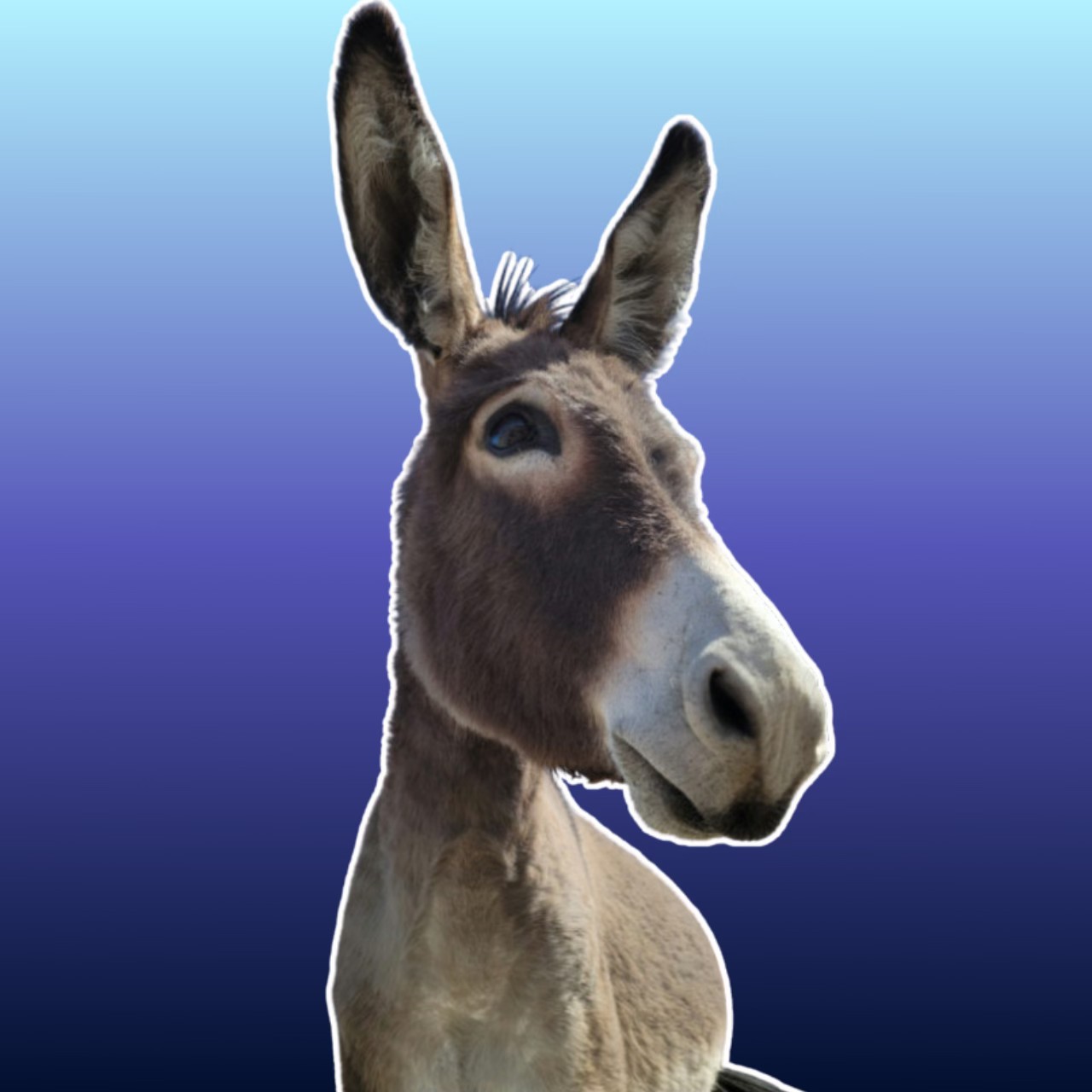 Louisville Democratic Party